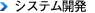 システム開発